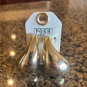 Posh Tear Drop Earrings